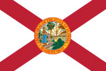 Florida Flag - Venice, FL