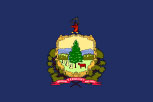 Vermont Flag - Burlington VT